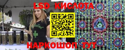 прущие грибы Ирбит