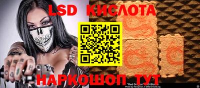 прущие грибы Ирбит