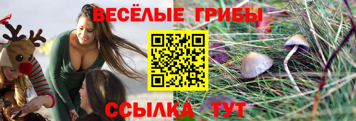 Псилоцибиновые грибы мухоморы  Вход с VPN  Луховицы  Псилоцибиновые грибы Magic Shrooms 